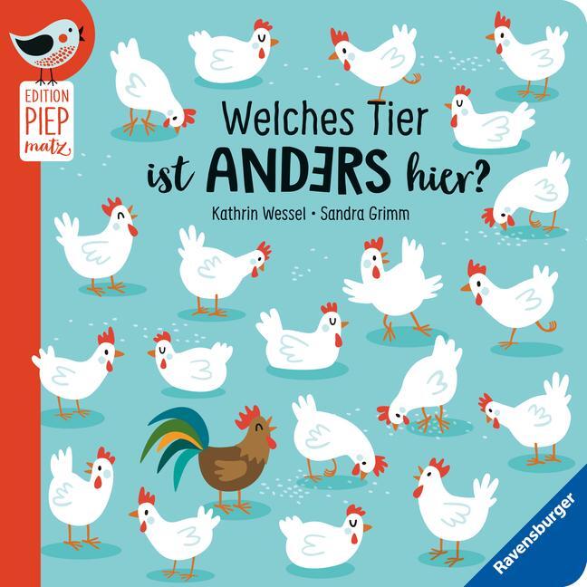 Cover: 9783473411603 | Welches Tier ist anders hier? - Unterschiede finden mit lustigen...