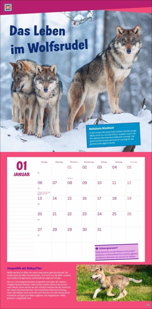 Bild: 9783756405541 | WAS IST WAS Tierwelt Broschurkalender 2025 | Kalender | 28 S. | 2025