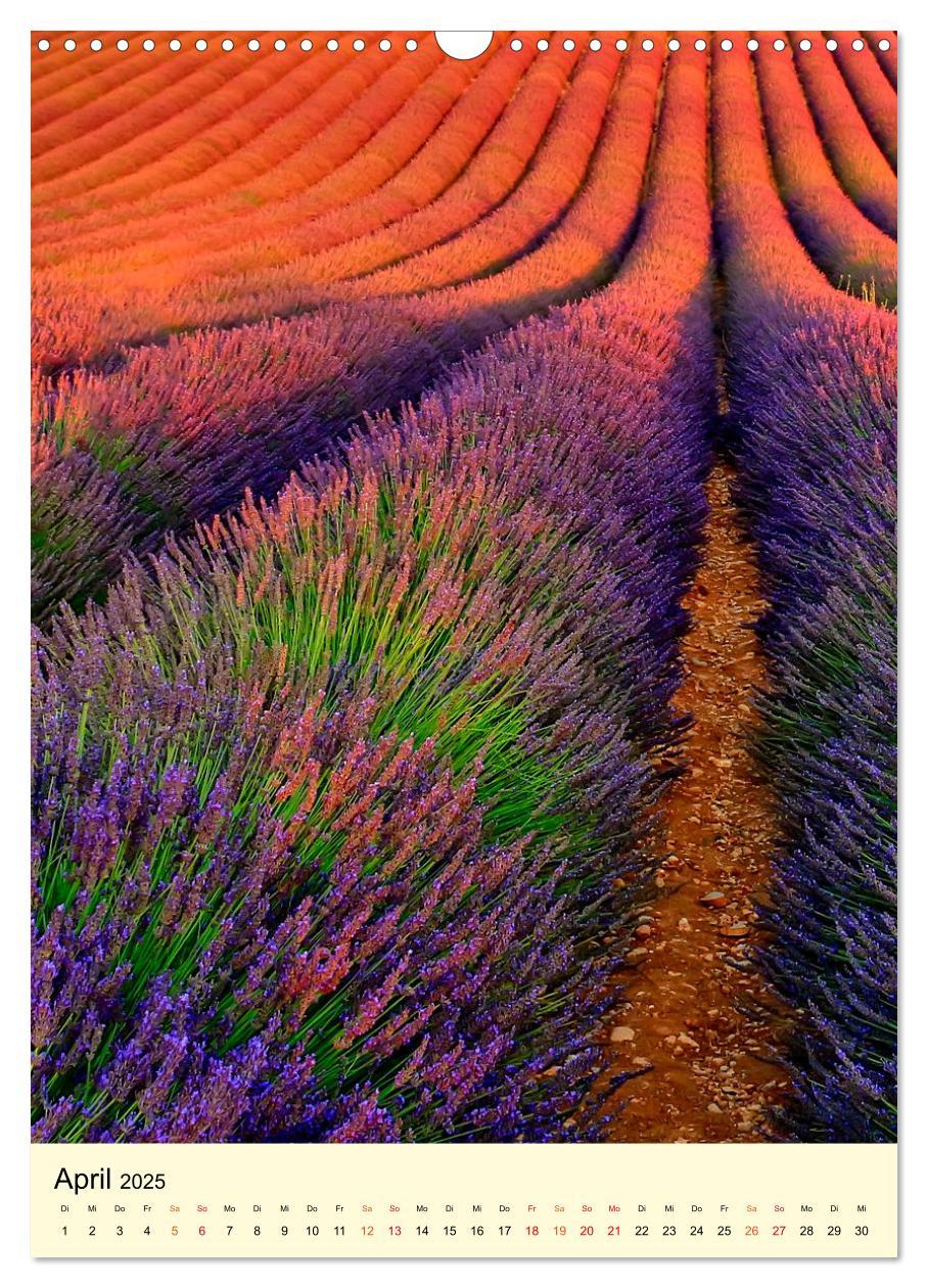 Bild: 9783435901814 | Provence Lavendel Paradies (Wandkalender 2025 DIN A3 hoch),...