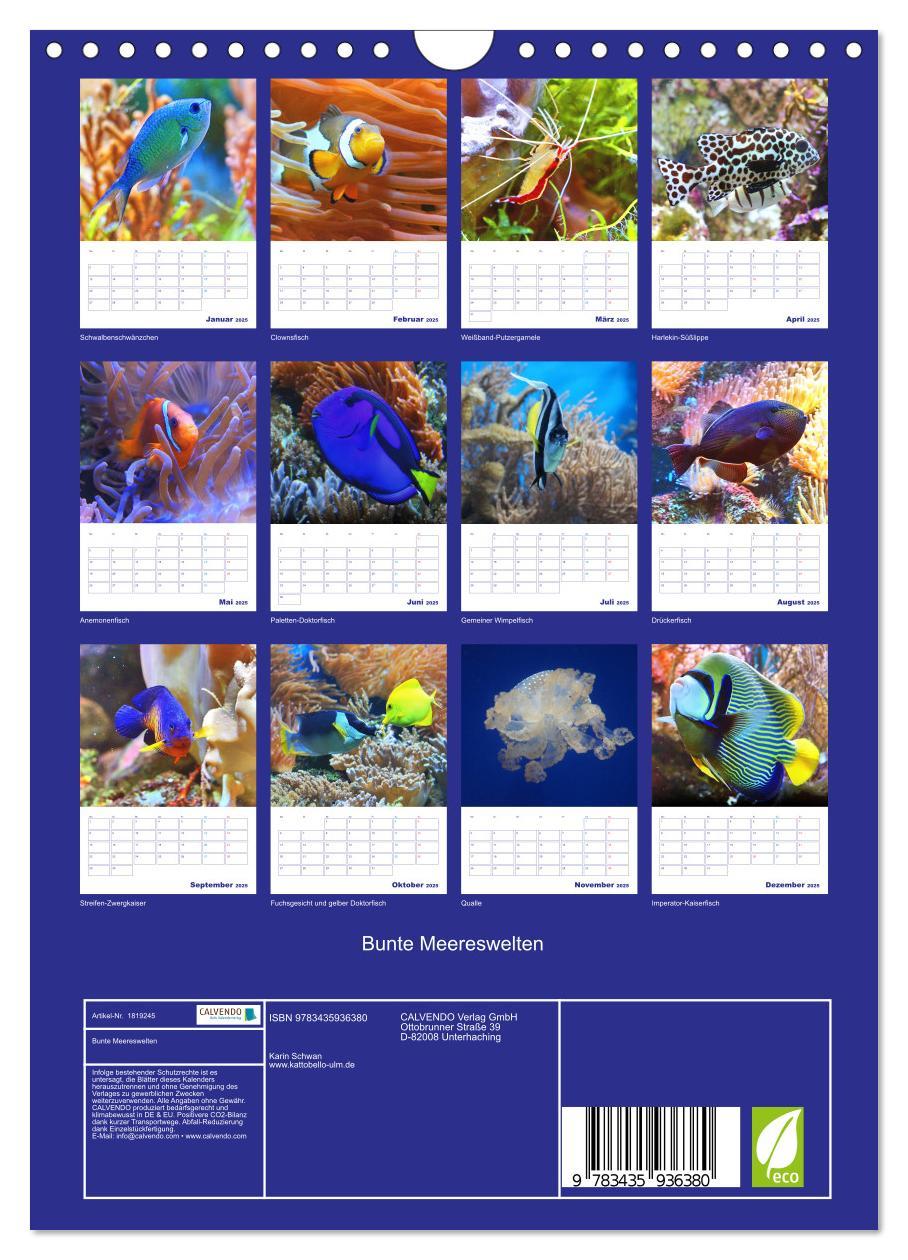 Bild: 9783435936380 | Bunte Meereswelten (Wandkalender 2025 DIN A4 hoch), CALVENDO...