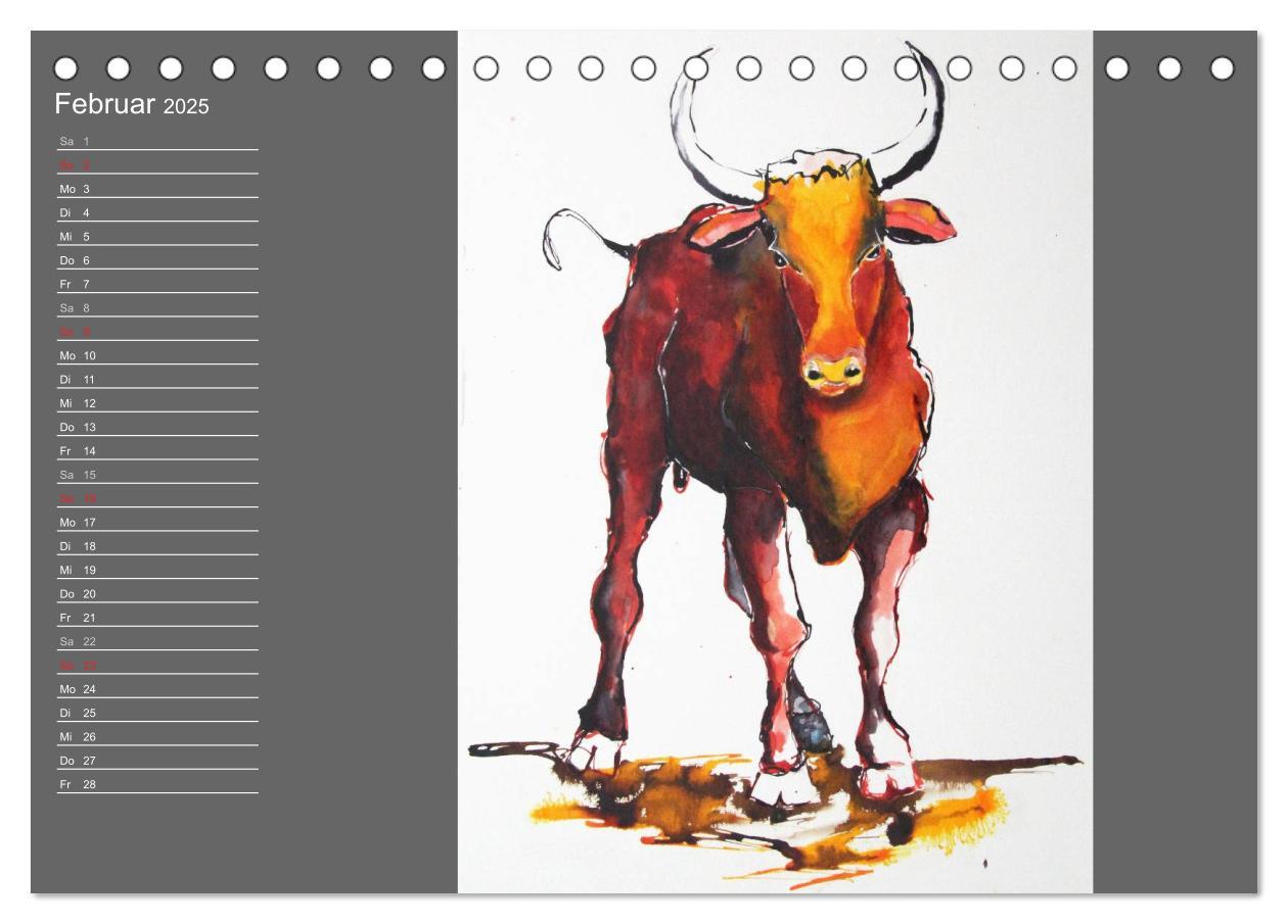 Bild: 9783435622238 | Sternbild Stier (Tischkalender 2025 DIN A5 quer), CALVENDO...