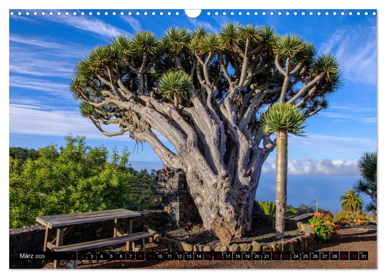 Bild: 9783435328017 | Natur pur erleben auf La Palma (Wandkalender 2025 DIN A3 quer),...