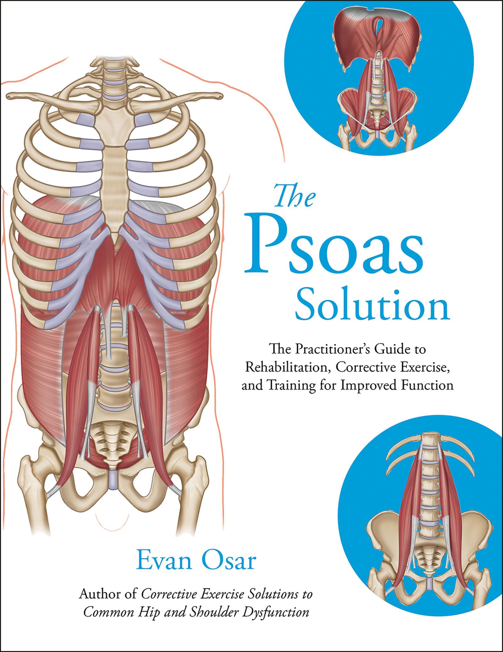 Cover: 9781905367788 | The Psoas Solution | Evan Osar | Taschenbuch | Kartoniert / Broschiert