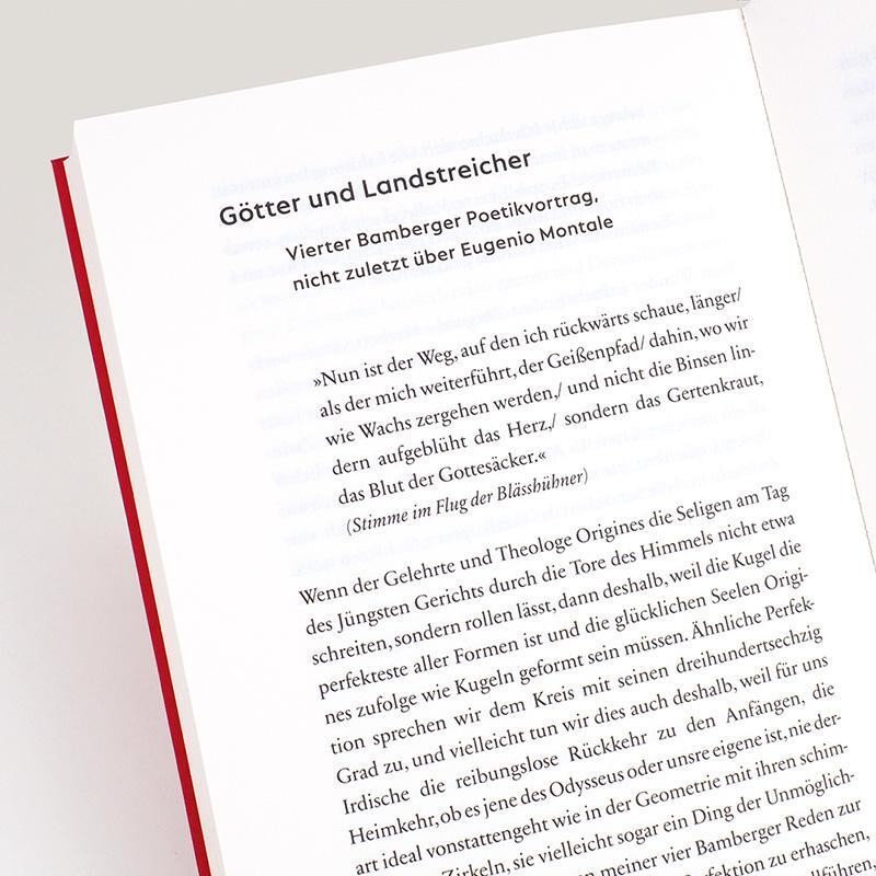 Bild: 9783446269439 | Der glückliche Augenblick | Beiläufige Prosa | Jan Wagner | Buch