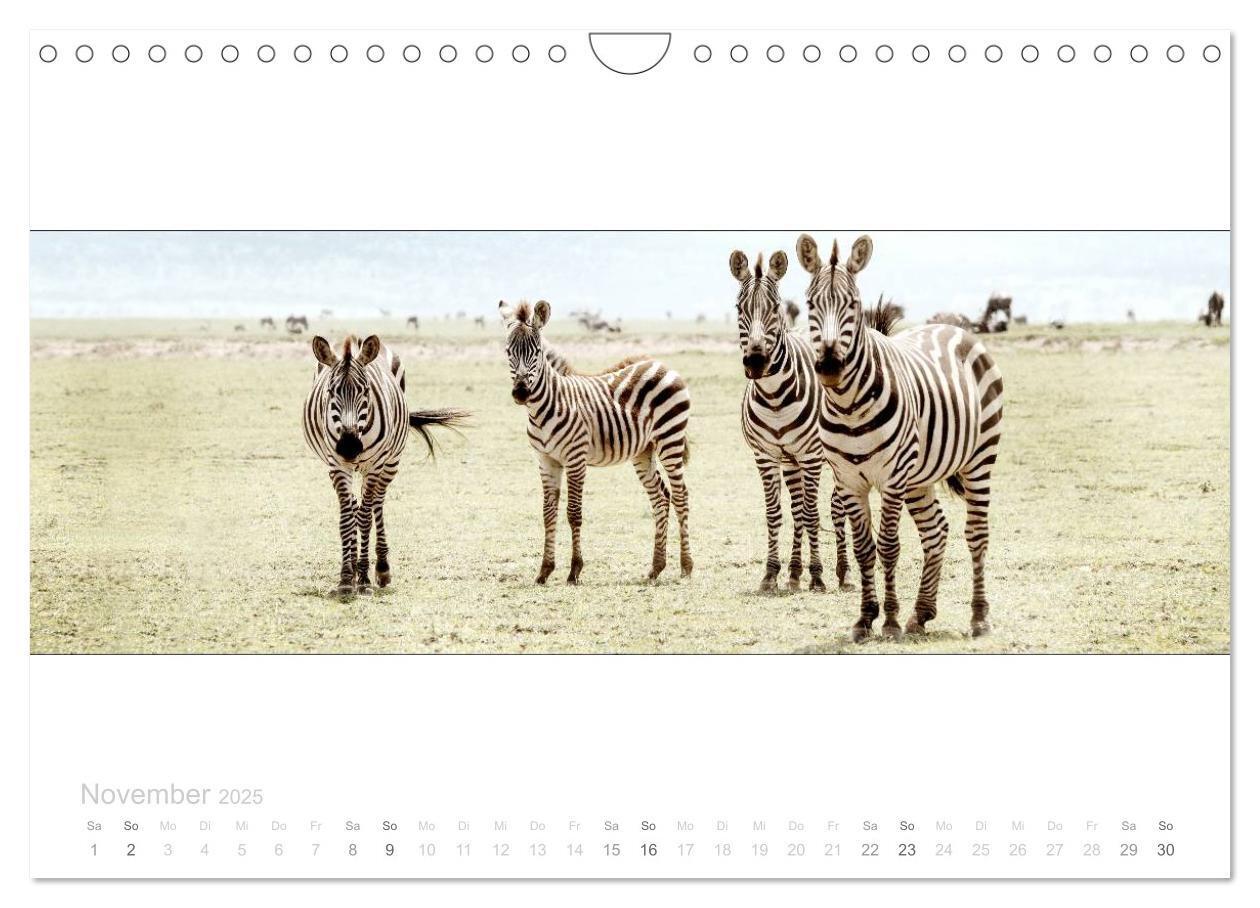 Bild: 9783435687749 | Serengeti Panorama (Wandkalender 2025 DIN A4 quer), CALVENDO...