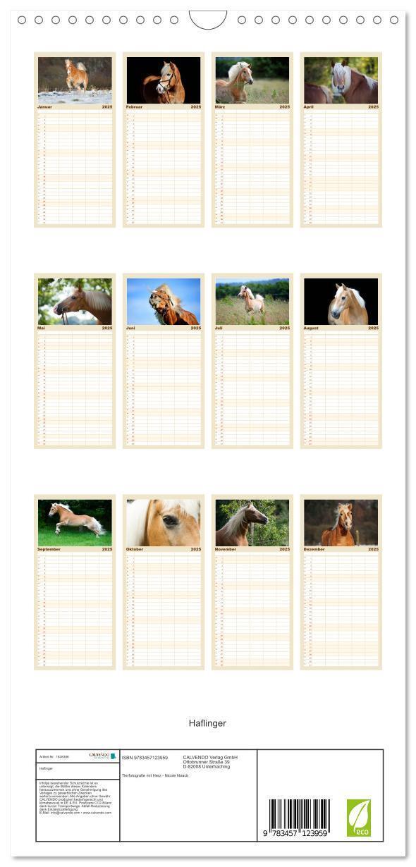 Bild: 9783457123959 | Familienplaner 2025 - Haflinger mit 5 Spalten (Wandkalender, 21 x...