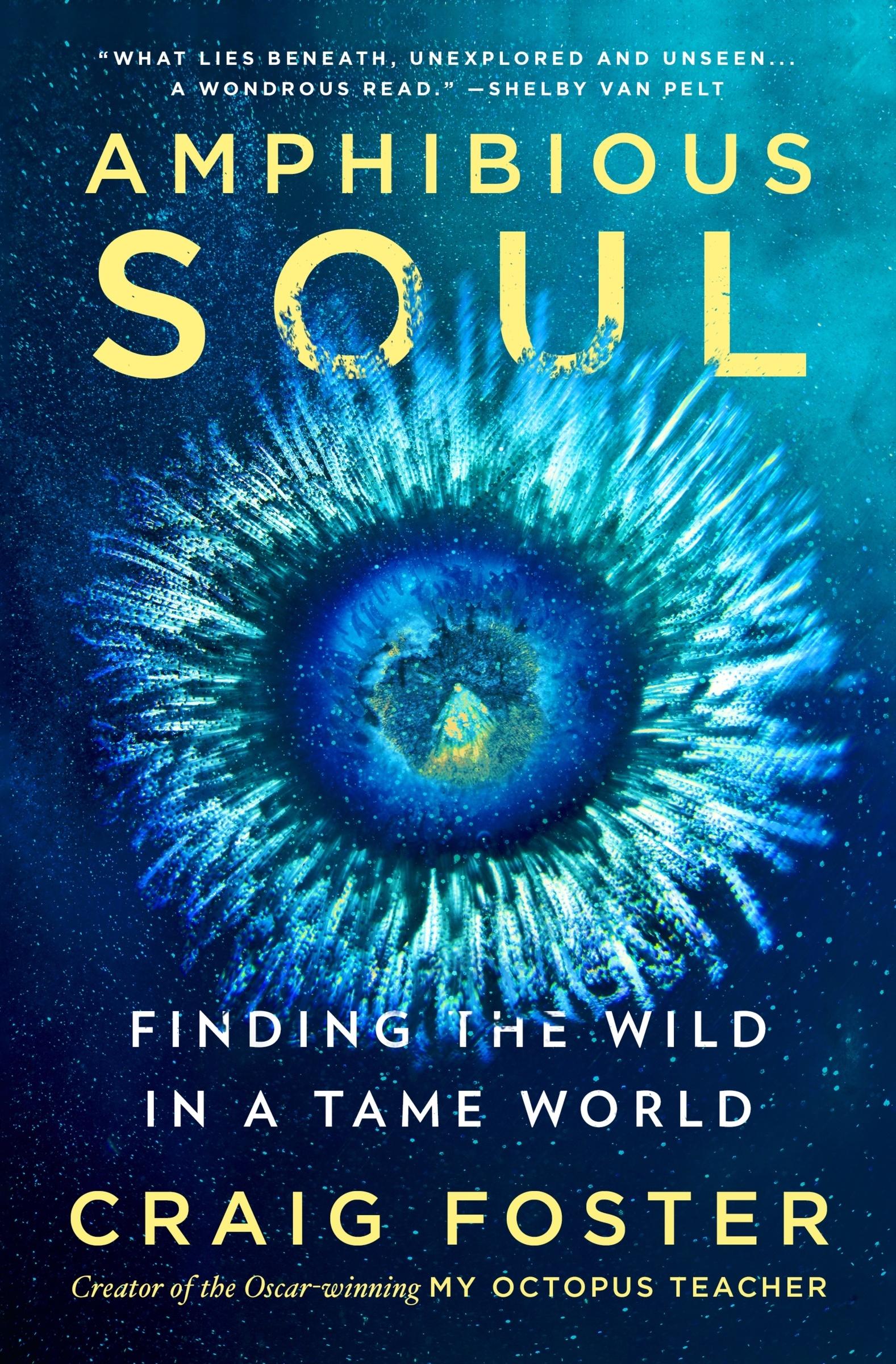 Cover: 9780063289024 | Amphibious Soul | Finding the Wild in a Tame World | Craig Foster