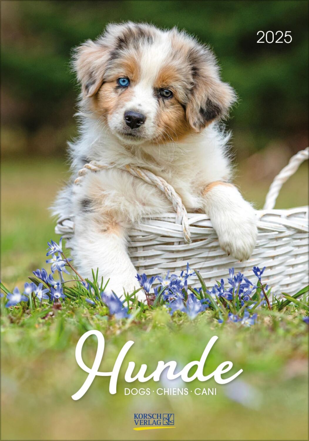 Cover: 9783731876175 | Hunde 2025 | Wandkalender mit Fotos von Hunden. Format 23,5 x 33,5 cm.