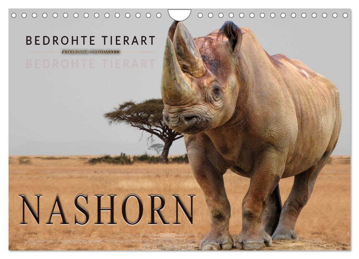 Cover: 9783435371204 | Bedrohte Tierart - Nashorn (Wandkalender 2025 DIN A4 quer),...