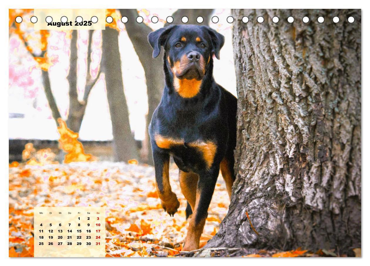 Bild: 9783383947391 | Mein Rottweiler. Nervenstarker Gebrauchs- und Begleithund...