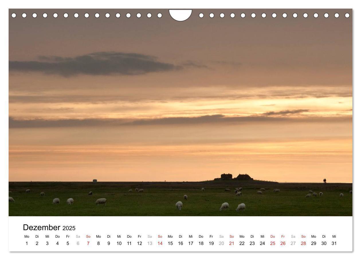 Bild: 9783435570386 | Hallig Hooge - zwischen Himmel und Erde (Wandkalender 2025 DIN A4...