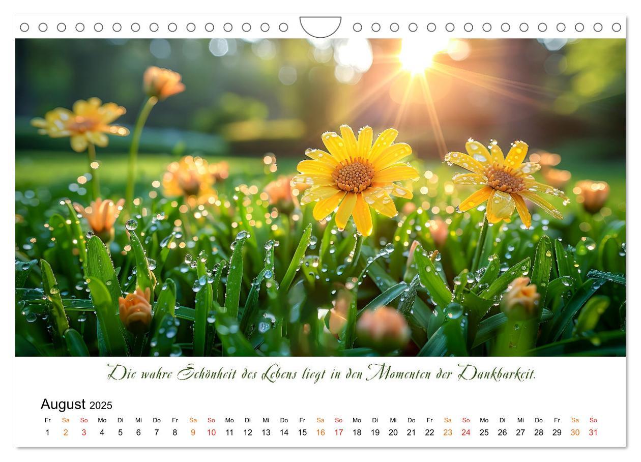 Bild: 9783383814556 | Freu Dich Motivations-Kalender (Wandkalender 2025 DIN A4 quer),...