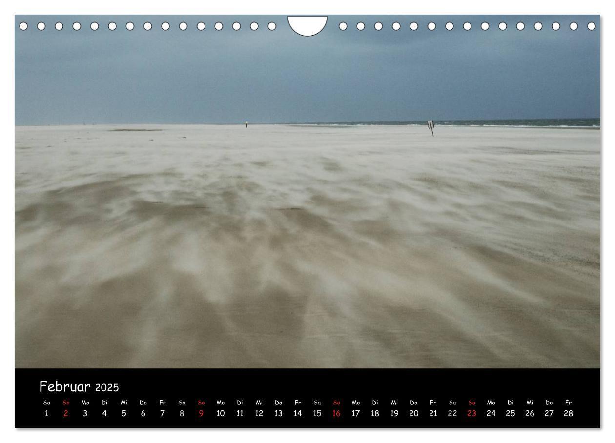 Bild: 9783435827671 | Amrum (Wandkalender 2025 DIN A4 quer), CALVENDO Monatskalender | 2025