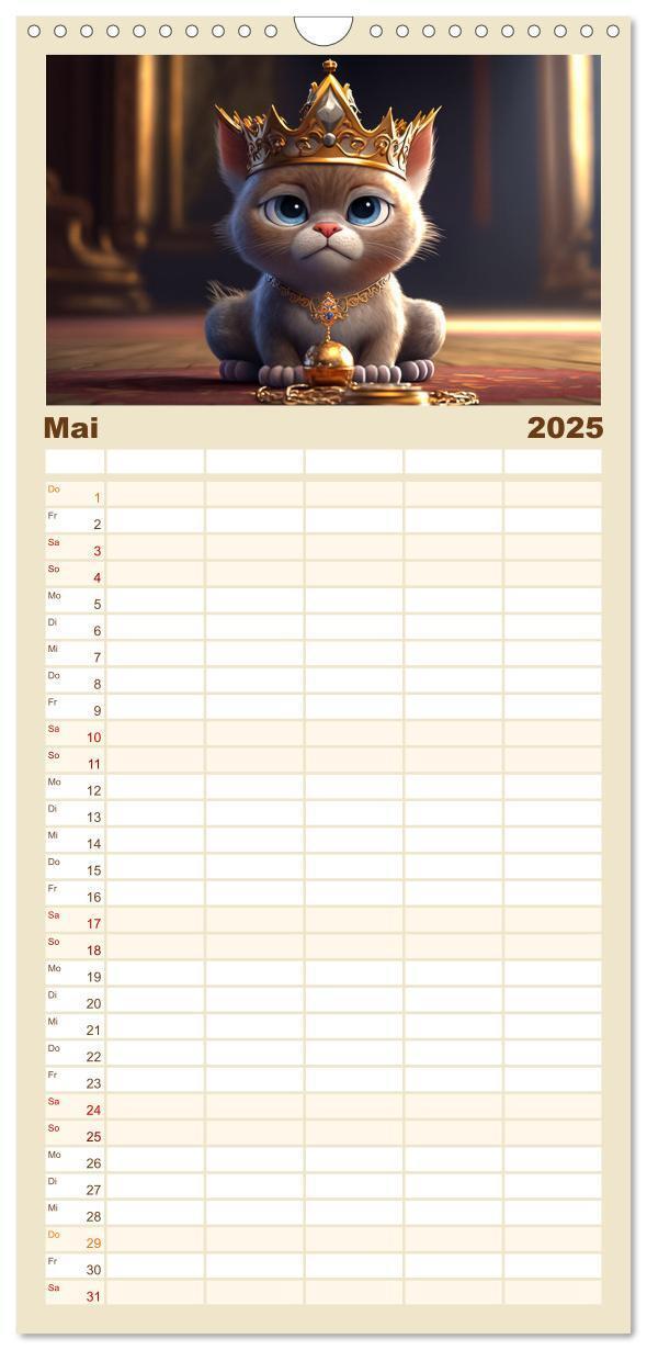 Bild: 9783457093214 | Familienplaner 2025 - Lustige Kätzchen mit 5 Spalten (Wandkalender,...