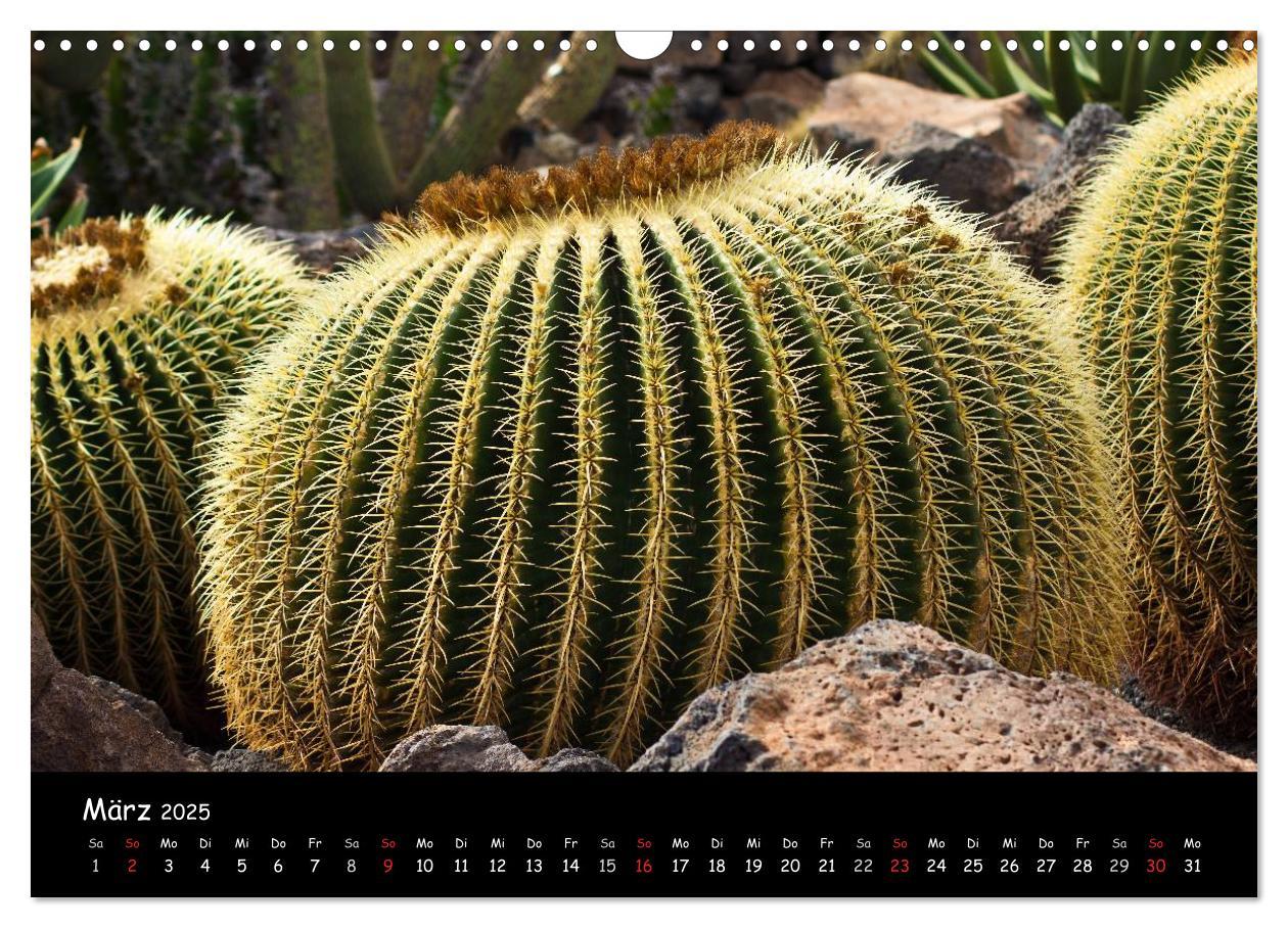 Bild: 9783435800285 | Lanzarote (Wandkalender 2025 DIN A3 quer), CALVENDO Monatskalender