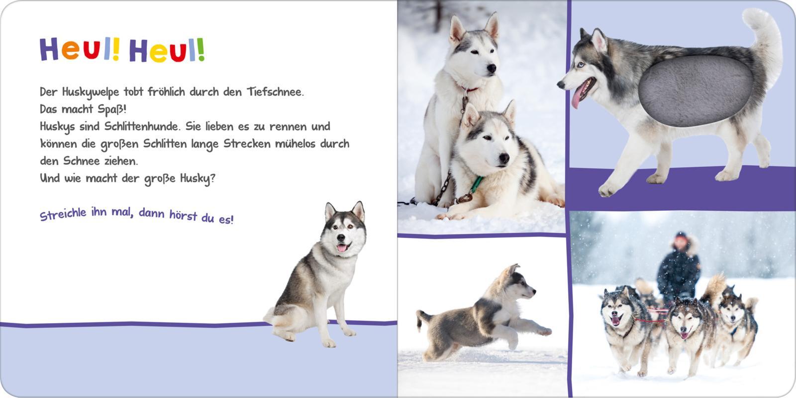 Bild: 9783845826370 | Hör mal rein, wer kann das sein? Im Winter | Buch | 12 S. | Deutsch