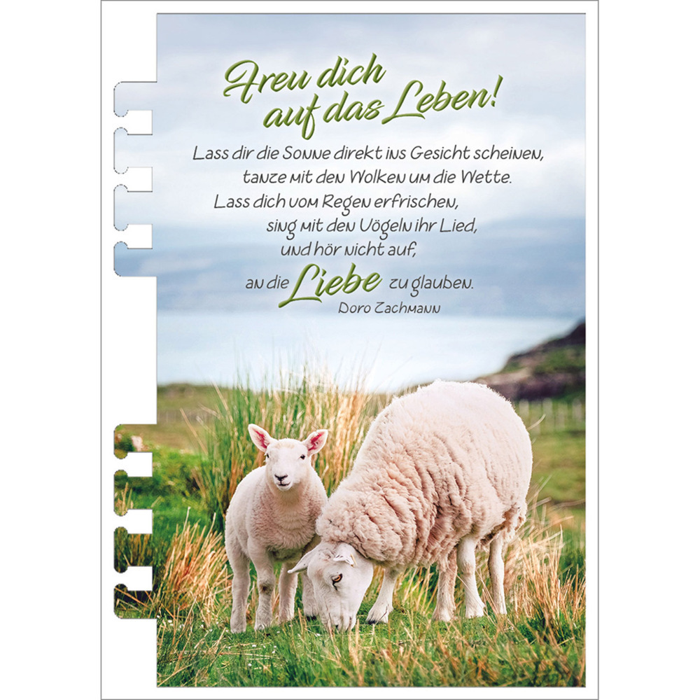 Bild: 9783754869352 | Tage voller Licht 2025 | Termin-Kalender für unterwegs | Kalender