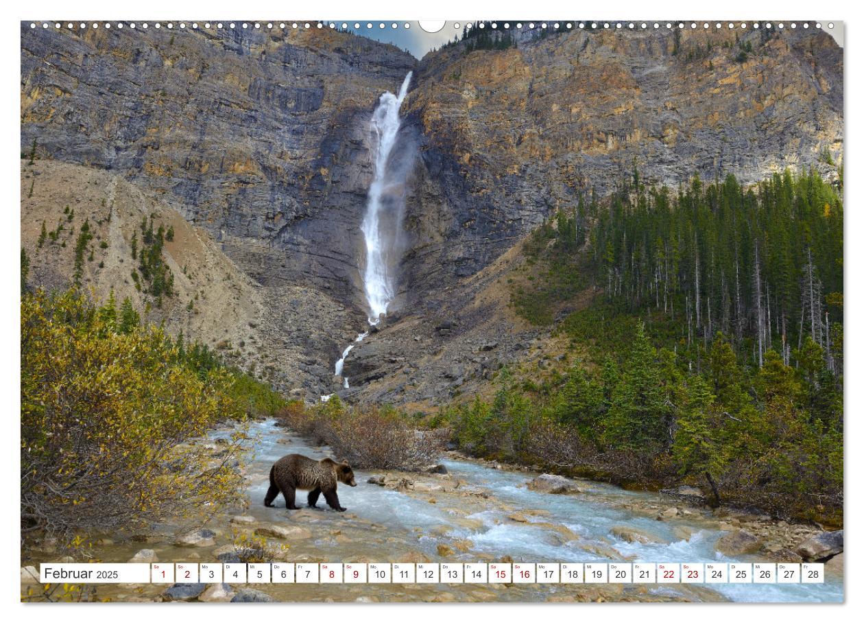 Bild: 9783383887390 | KANADA - Die Bären der Rocky Mountains (Wandkalender 2025 DIN A2...