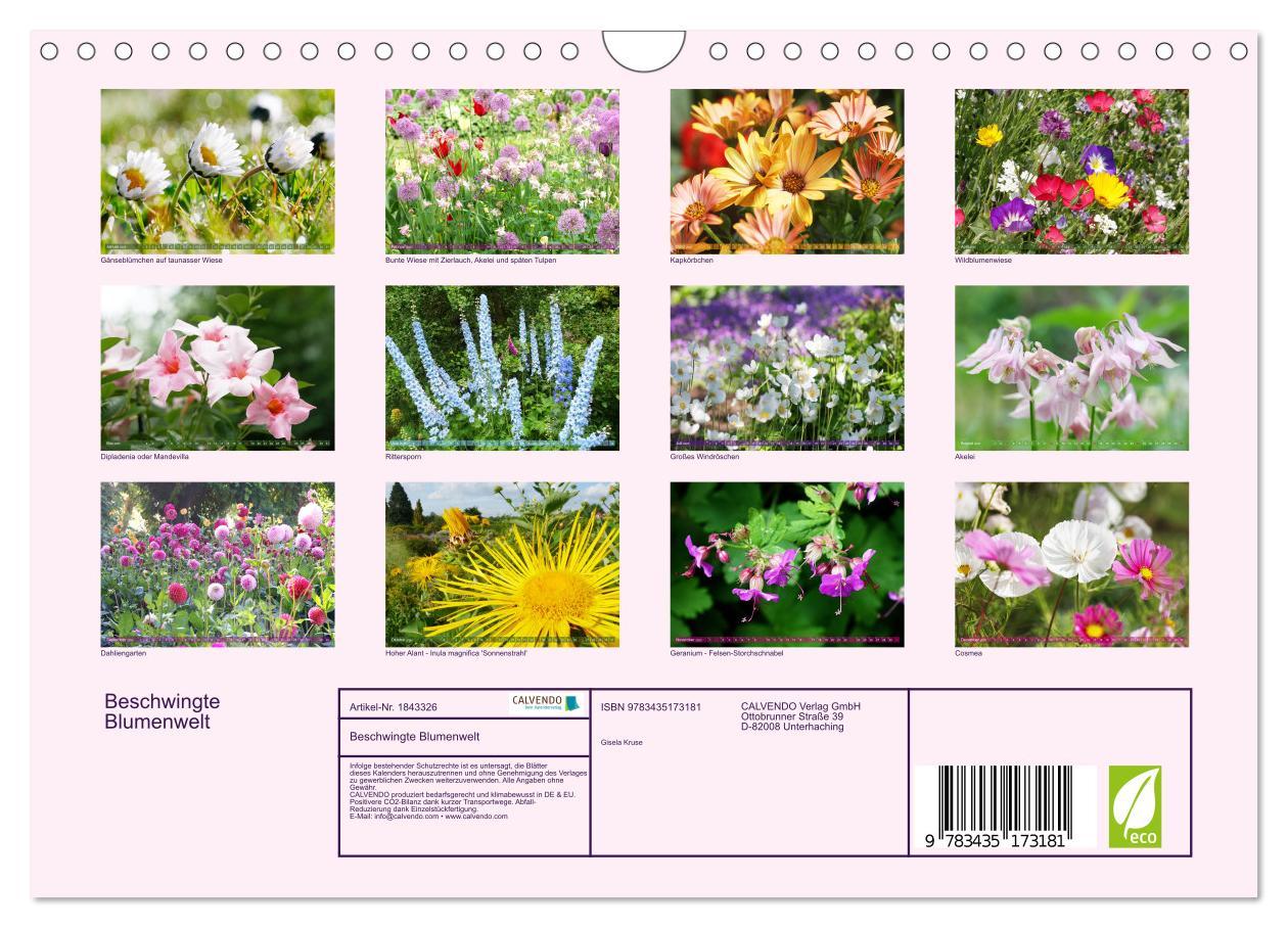 Bild: 9783435173181 | Beschwingte Blumenwelt (Wandkalender 2025 DIN A4 quer), CALVENDO...