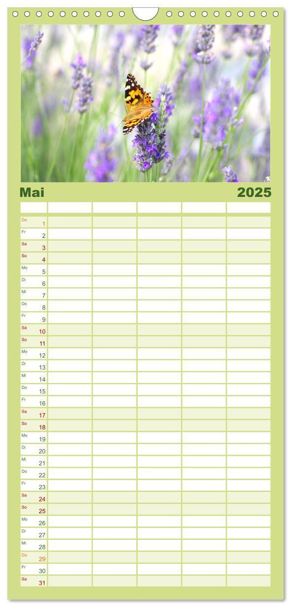 Bild: 9783457100844 | Familienplaner 2025 - Sanfte Natur mit 5 Spalten (Wandkalender, 21...