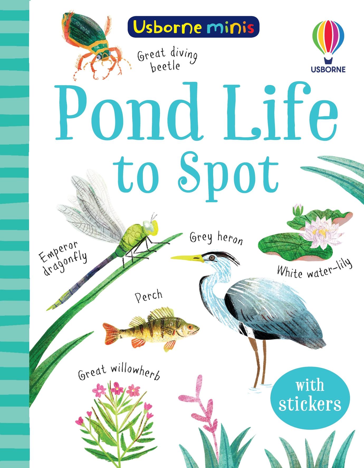 Cover: 9781474975018 | Pond Life to Spot | Kate Nolan | Taschenbuch | Kartoniert / Broschiert