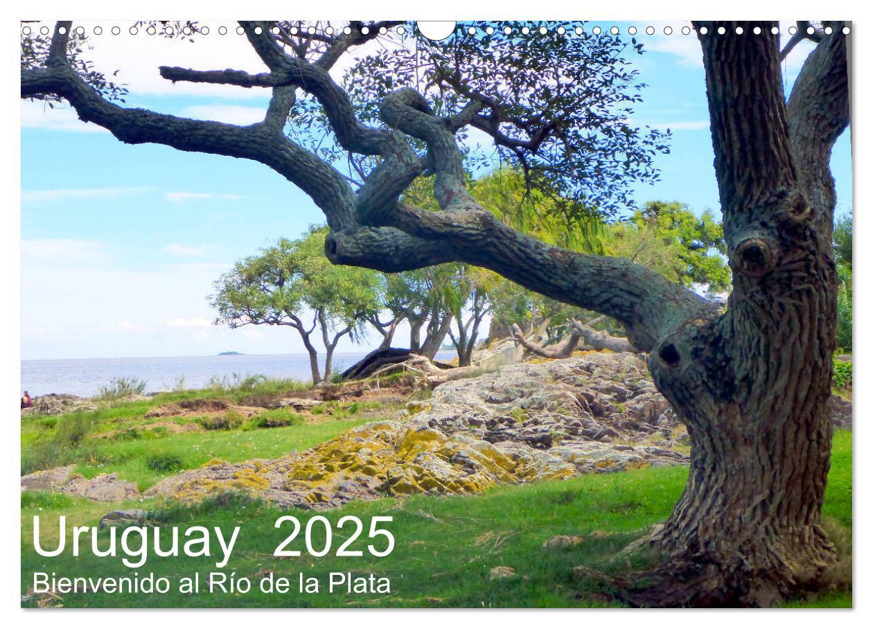 Cover: 9783435222803 | Uruguay - Bienvenido al Río de la Plata (Wandkalender 2025 DIN A3...