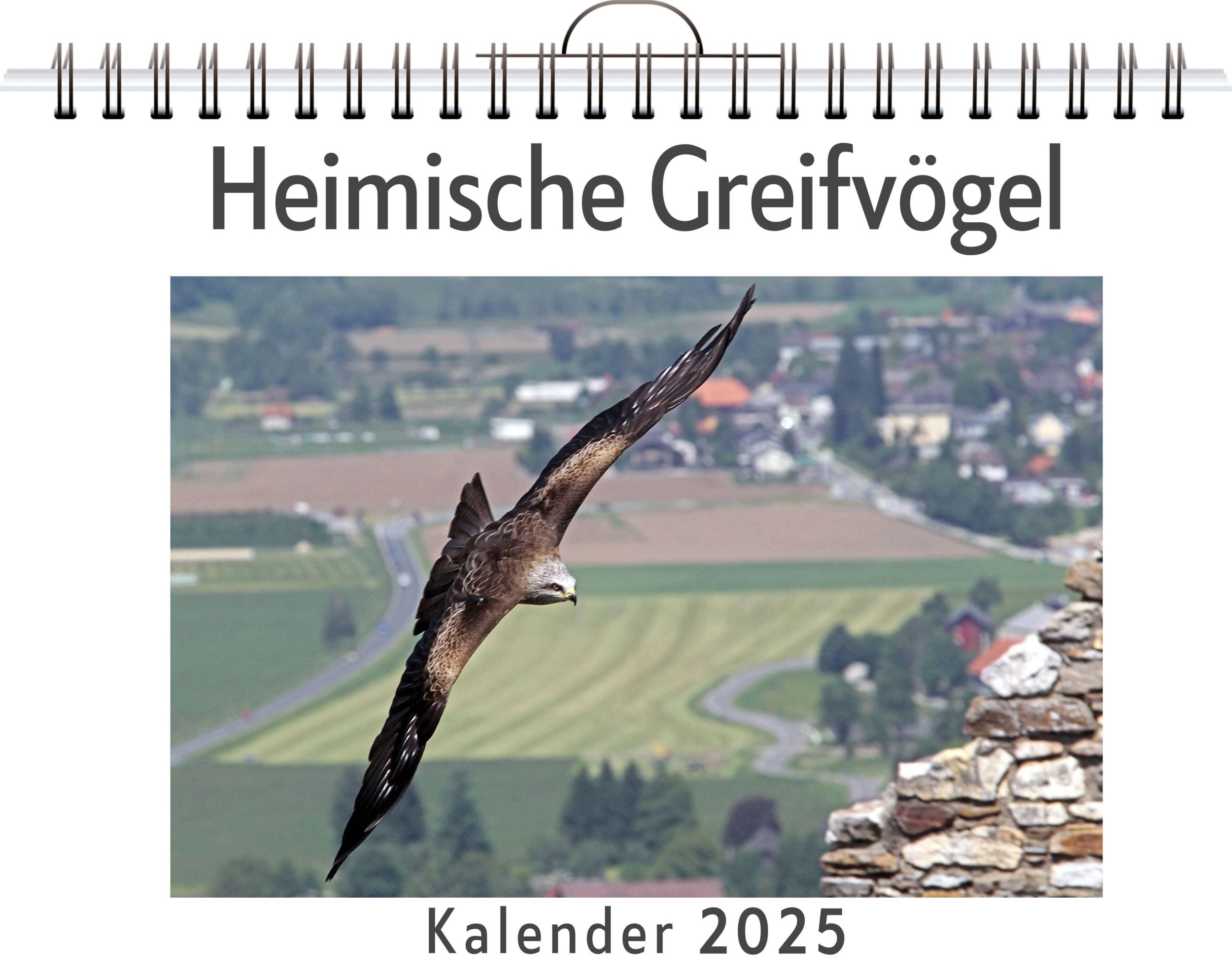 Cover: 9783759123992 | Heimische Greifvögel | Ava Krüger | Kalender | Kalender | 14 S.