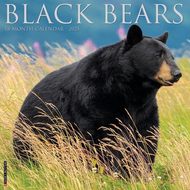 Cover: 9781549241826 | Black Bears 2025 12 X 12 Wall Calendar | Willow Creek Press | Kalender