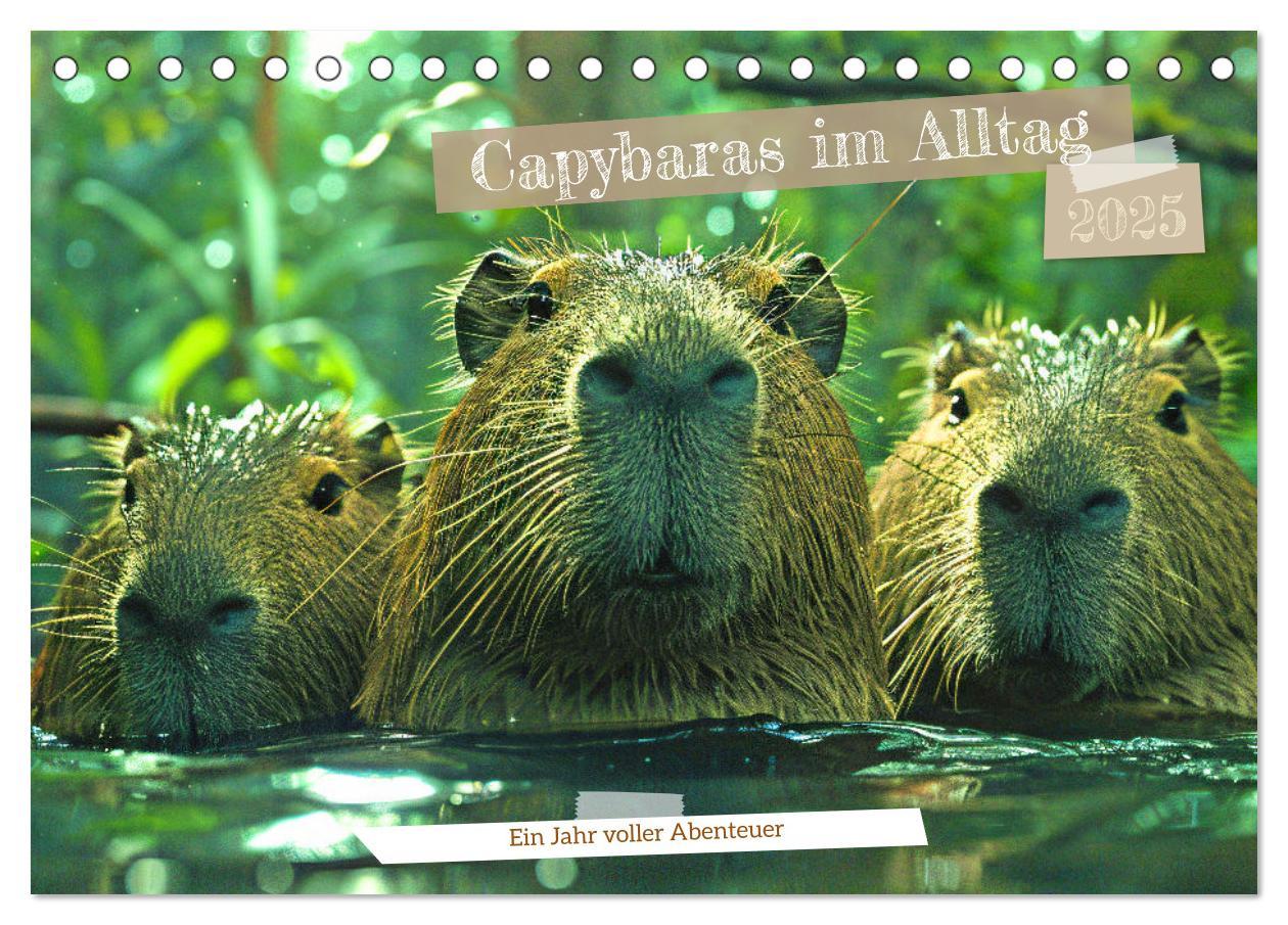 Cover: 9783457163993 | Capybaras im Alltag - Ein Jahr voller Abenteuer (Tischkalender 2025...