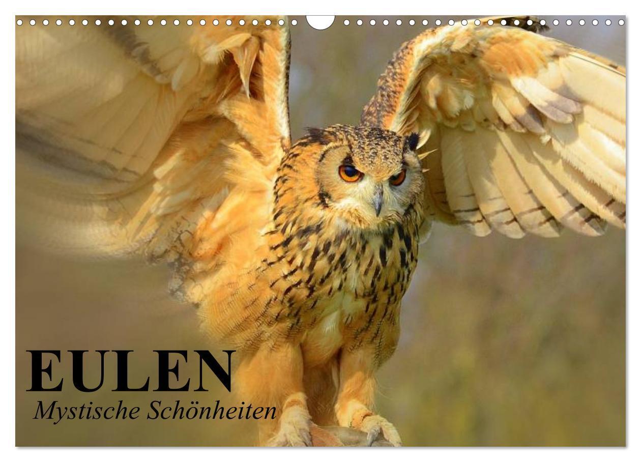 Cover: 9783435737949 | Eulen. Mystische Schönheiten (Wandkalender 2025 DIN A3 quer),...