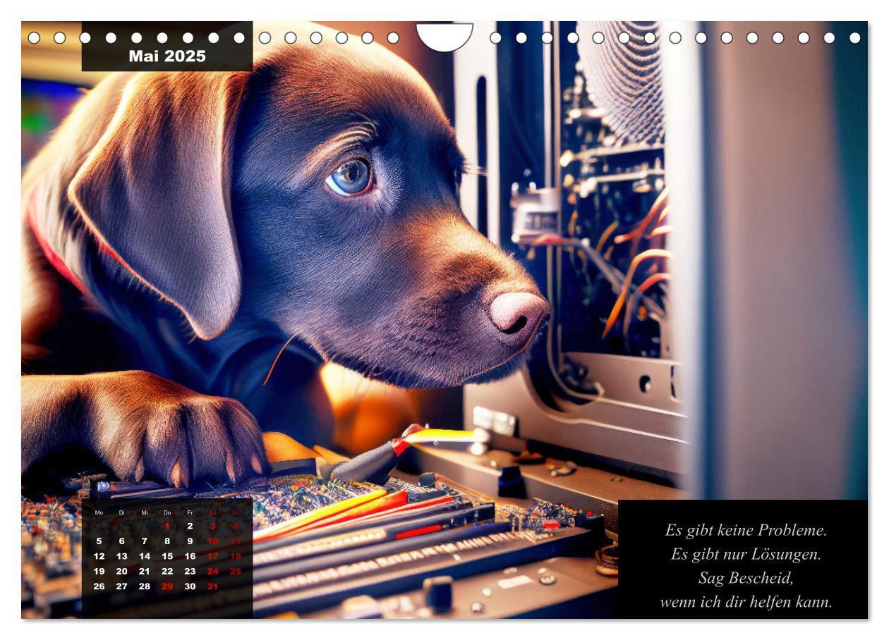 Bild: 9783435368617 | Der witzige Labrador-Kalender (Wandkalender 2025 DIN A4 quer),...