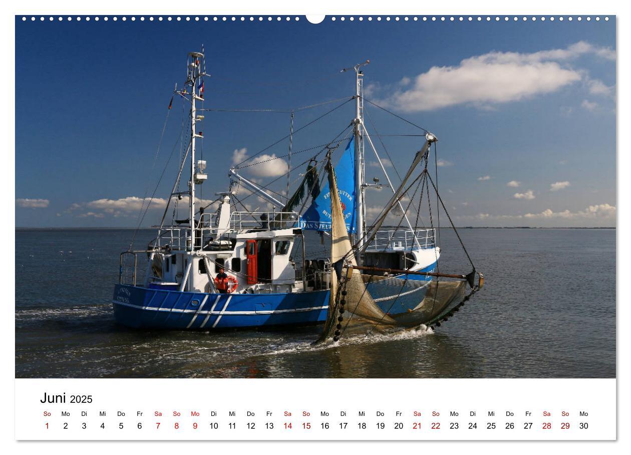 Bild: 9783435387571 | Insel Amrum - Ein Juwel unterm norddeutschen Himmel (Wandkalender...