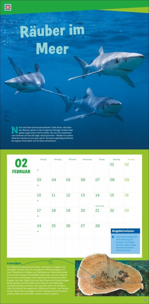 Bild: 9783756405541 | WAS IST WAS Tierwelt Broschurkalender 2025 | Kalender | 28 S. | 2025