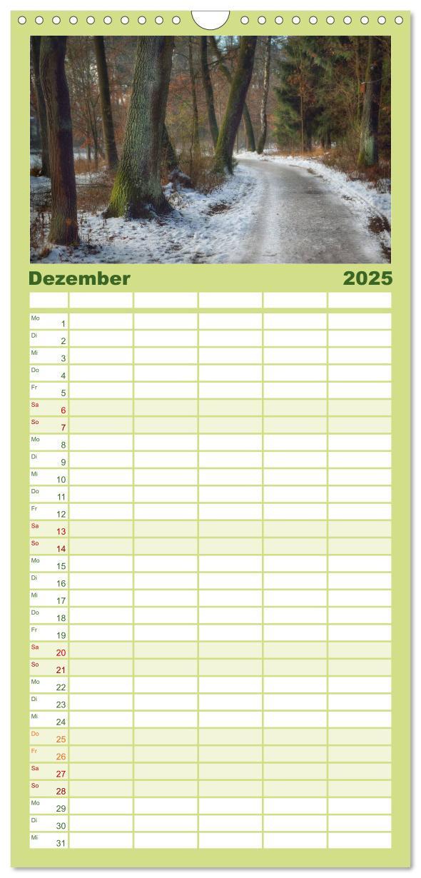 Bild: 9783457119600 | Familienplaner 2025 - Waldkalender mit 5 Spalten (Wandkalender, 21...