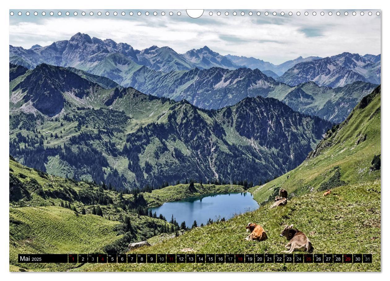 Bild: 9783435324231 | Allgäu - Natur pur (Wandkalender 2025 DIN A3 quer), CALVENDO...