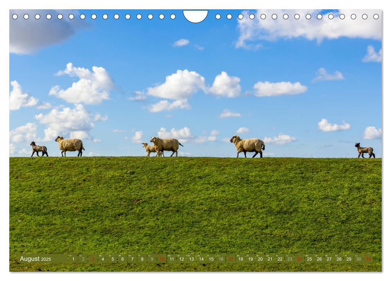 Bild: 9783383777813 | Moin Moormerland (Wandkalender 2025 DIN A4 quer), CALVENDO...