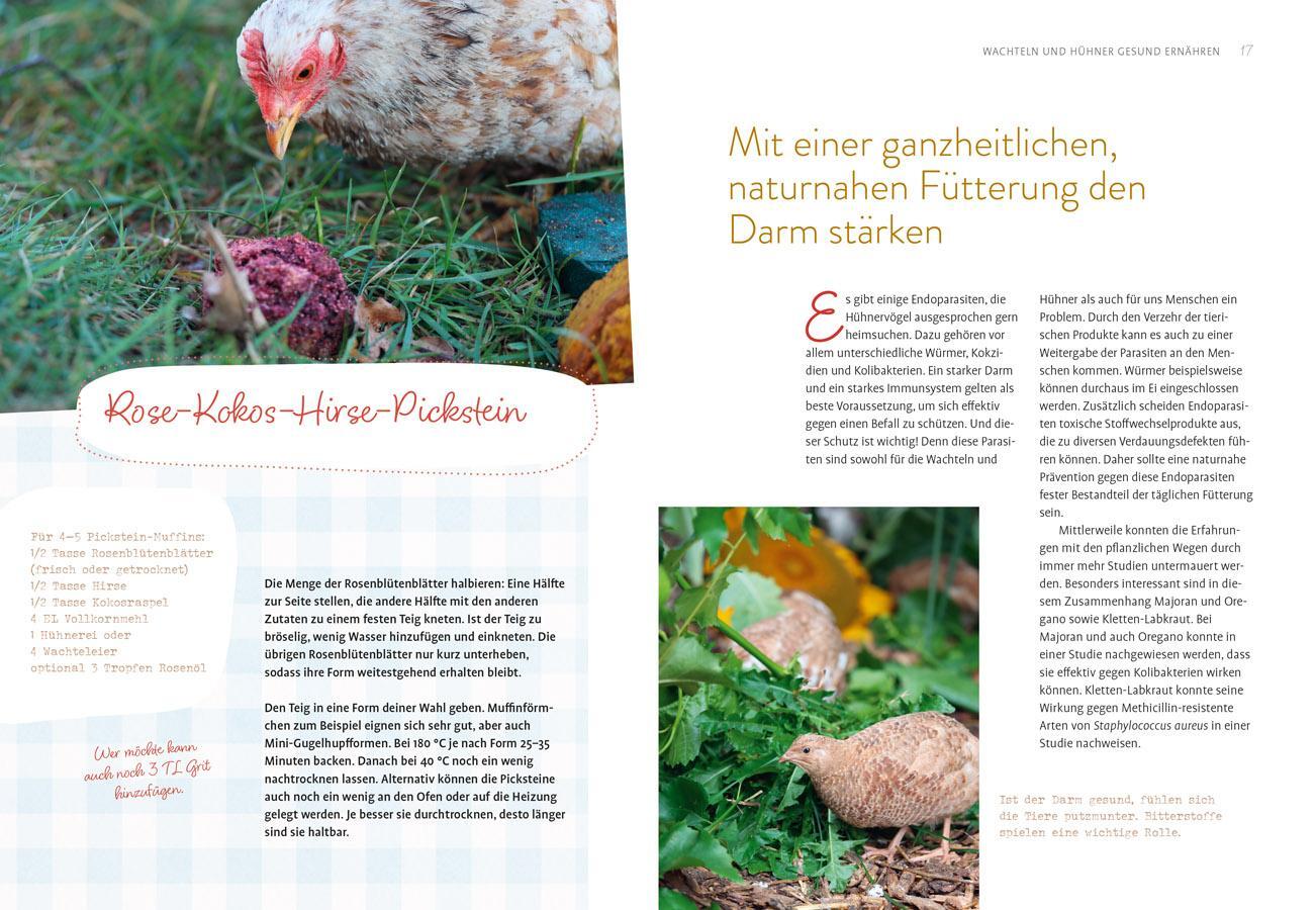 Bild: 9783818620820 | Was sucht das Huhn im Kräuterbeet? | Anne Baresch | Taschenbuch | 2024