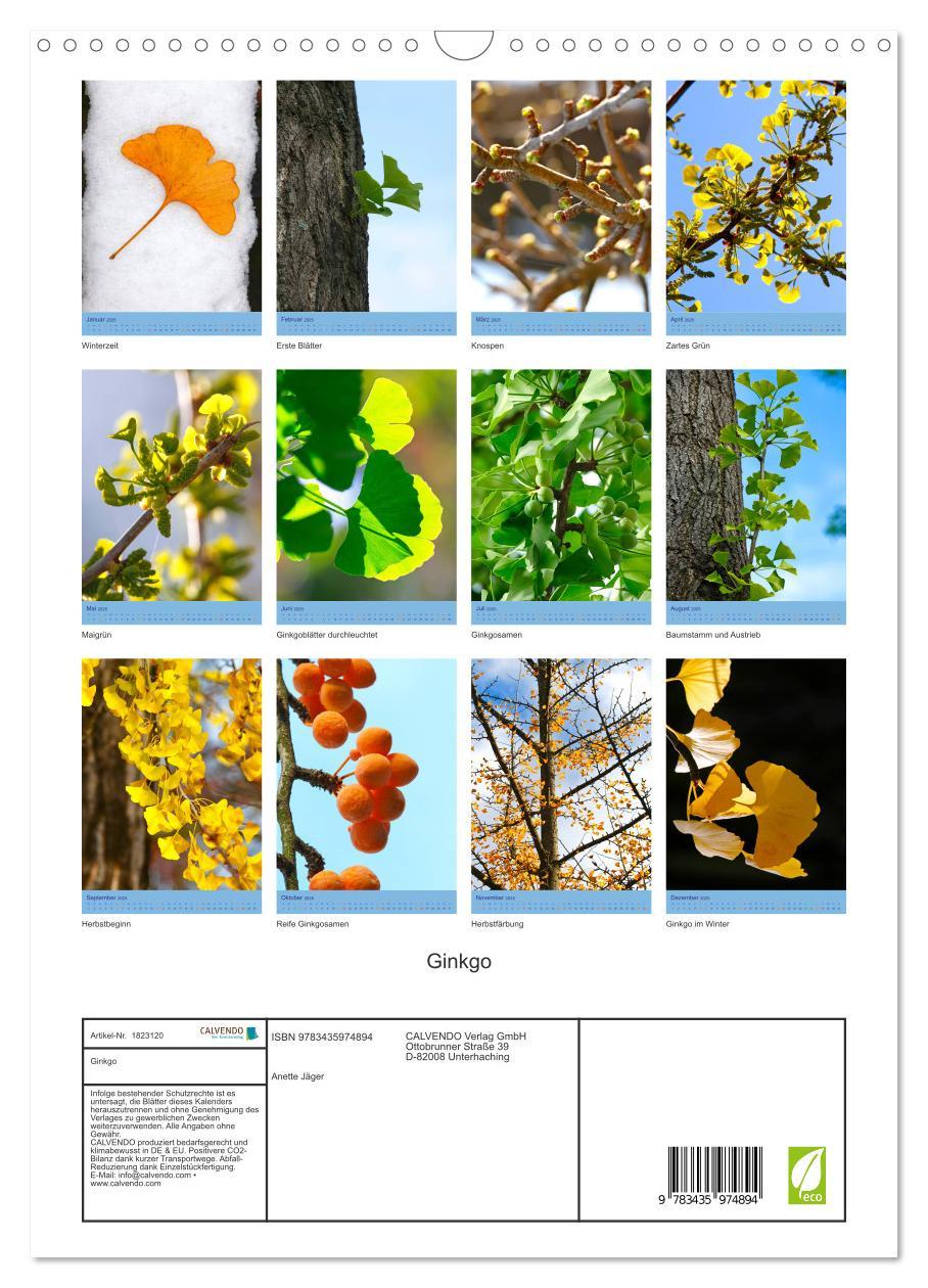 Bild: 9783435974894 | Ginkgo (Wandkalender 2025 DIN A3 hoch), CALVENDO Monatskalender | 2025