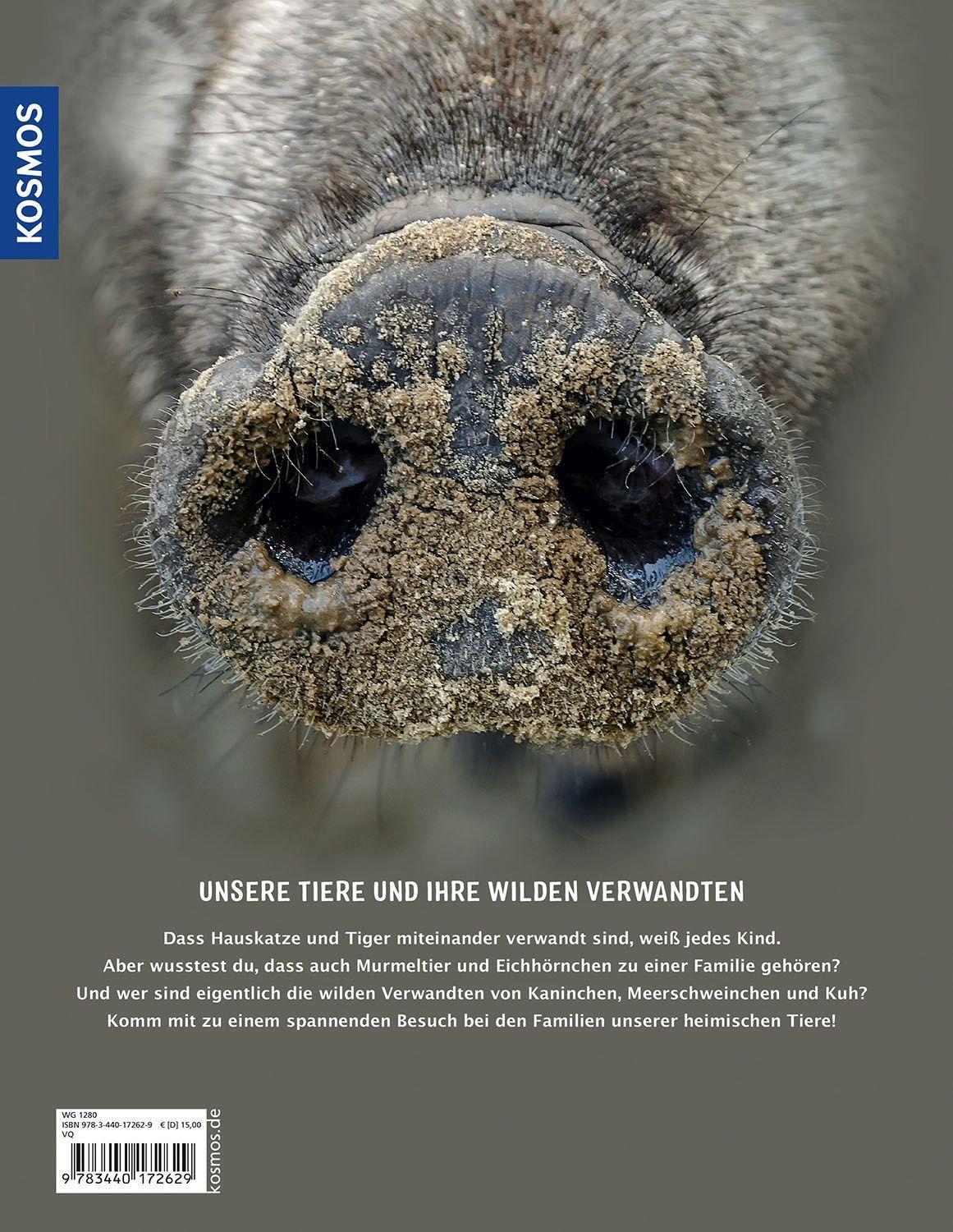 Bild: 9783440172629 | Heimische Tiere und ihre wilden Verwandten | Jule Ambach | Buch | 2022