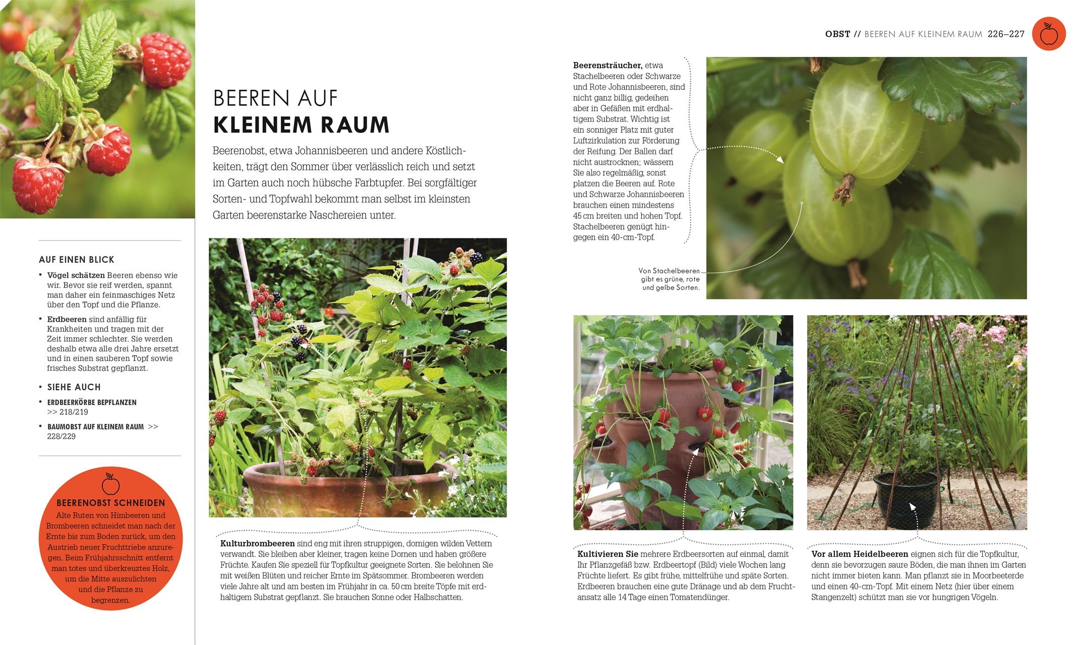 Bild: 9783831049950 | So geht Garten | DK Verlag | Buch | 256 S. | Deutsch | 2025