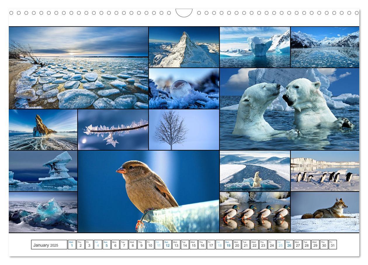 Bild: 9781325835355 | Colour Symphonies of the Earth (Wall Calendar 2025 DIN A3...