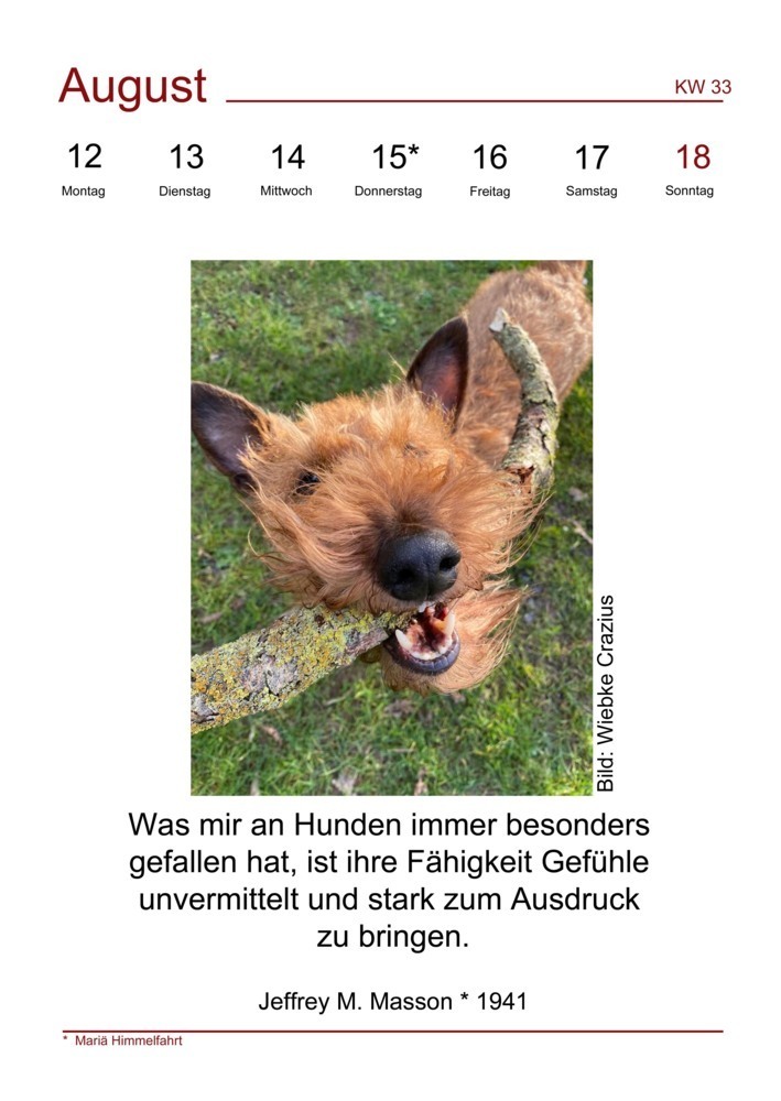 Bild: 9783982150376 | Der literarische Hundekalender 2024 | Charlotte Körner | Kalender