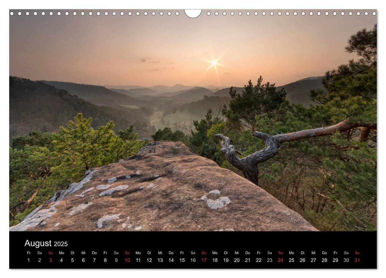 Bild: 9783435592432 | Mystischer Pfälzer Wald (Wandkalender 2025 DIN A3 quer), CALVENDO...