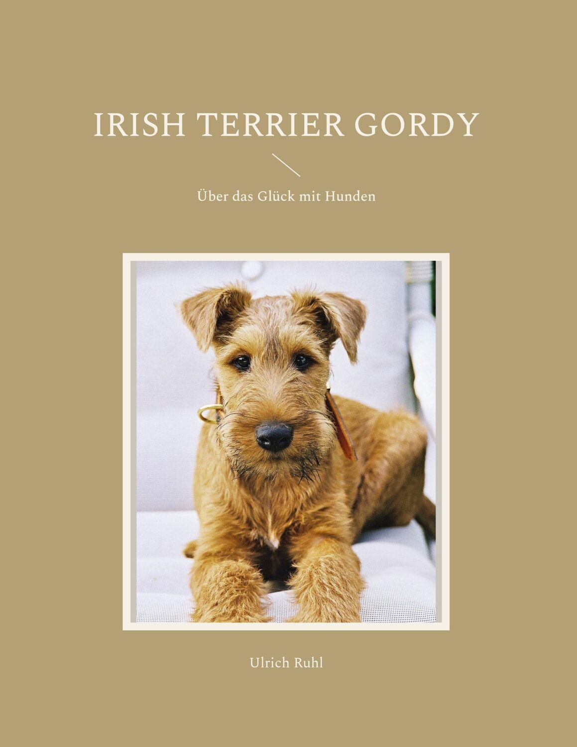 Cover: 9783744887878 | Irish Terrier Gordy | Über das Glück mit Hunden | Ulrich Ruhl | Buch