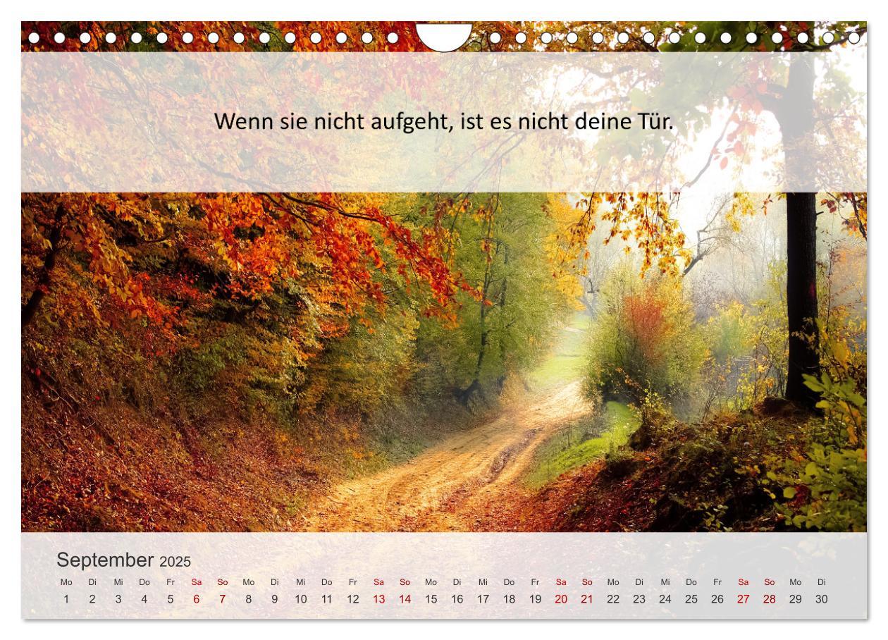 Bild: 9783435020232 | Motivationssprüche Erfolgsweg (Wandkalender 2025 DIN A4 quer),...