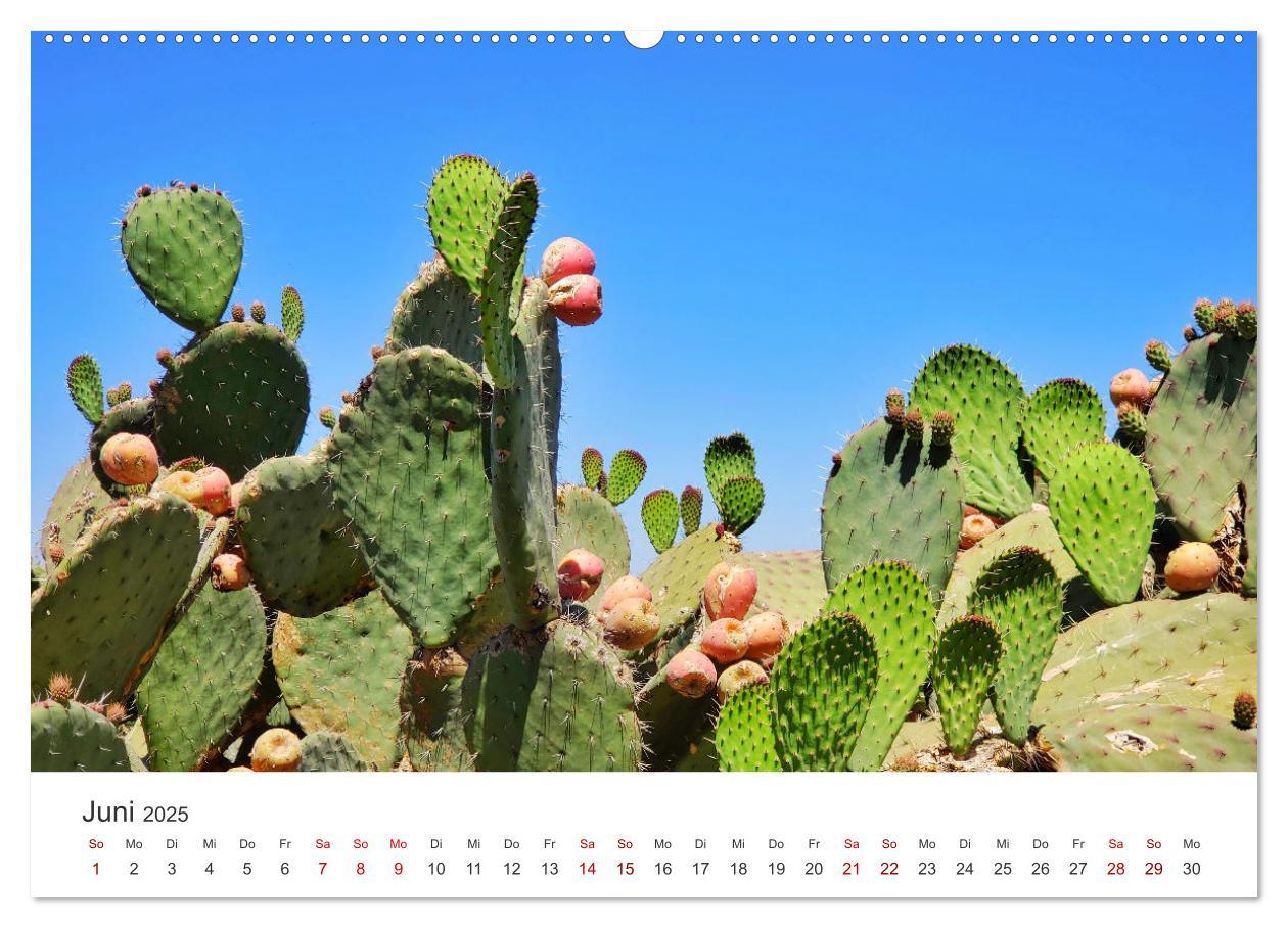 Bild: 9783435004119 | Mexiko - Eine Reise durch ein farbenfrohes Land. (Wandkalender 2025...