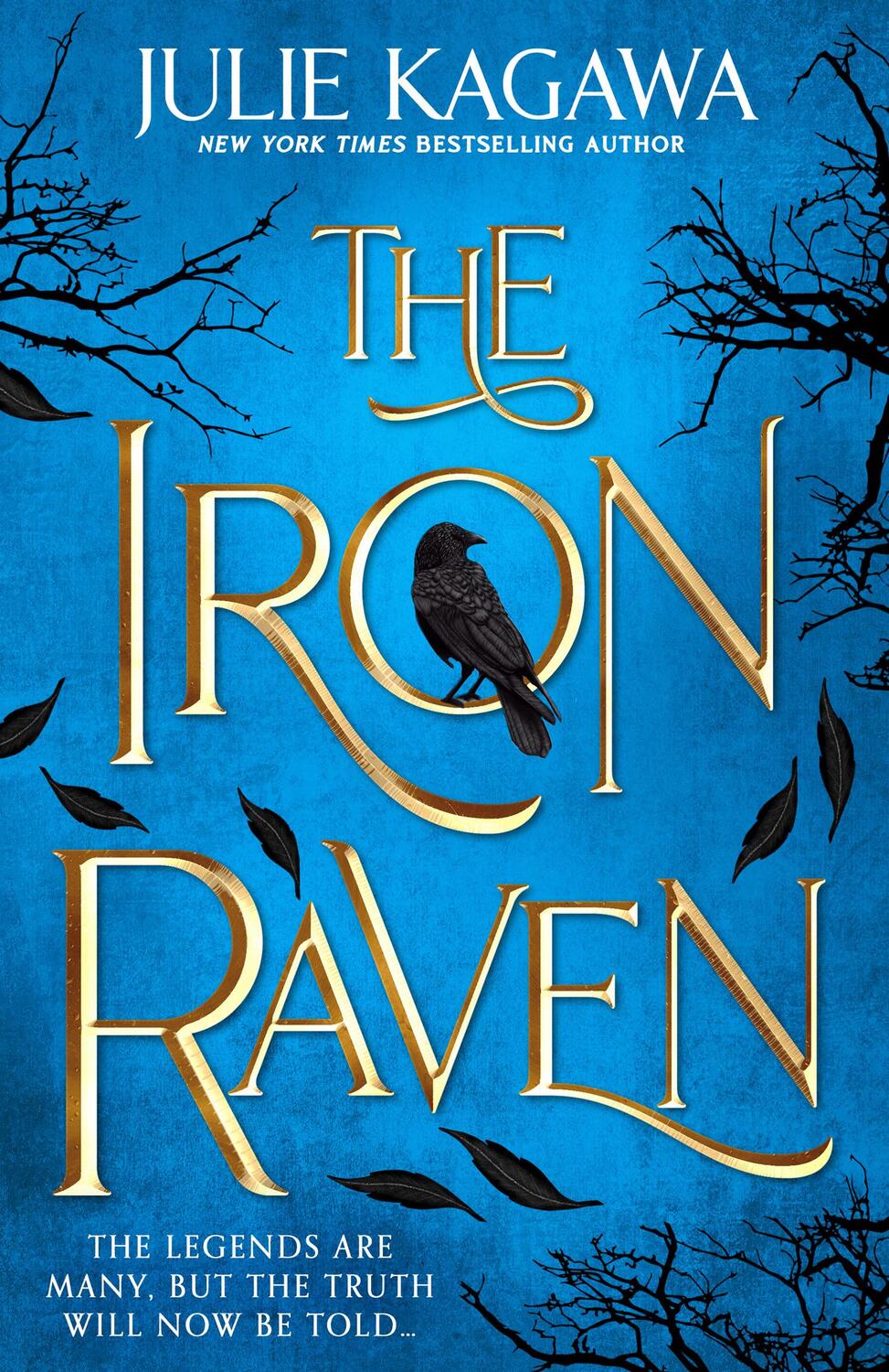 Cover: 9781848458284 | The Iron Raven | Julie Kagawa | Taschenbuch | Kartoniert / Broschiert