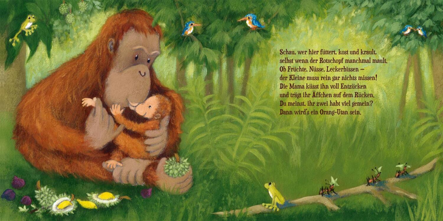 Bild: 9783551172358 | Schau, wie lieb die Tiere kuscheln | Katja Reider | Buch | 22 S.