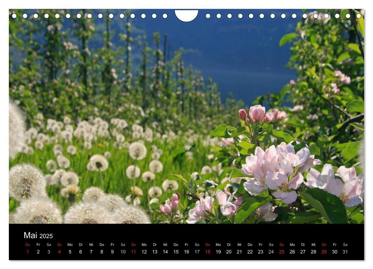 Bild: 9783435795765 | Norwegen 2025 (Wandkalender 2025 DIN A4 quer), CALVENDO Monatskalender