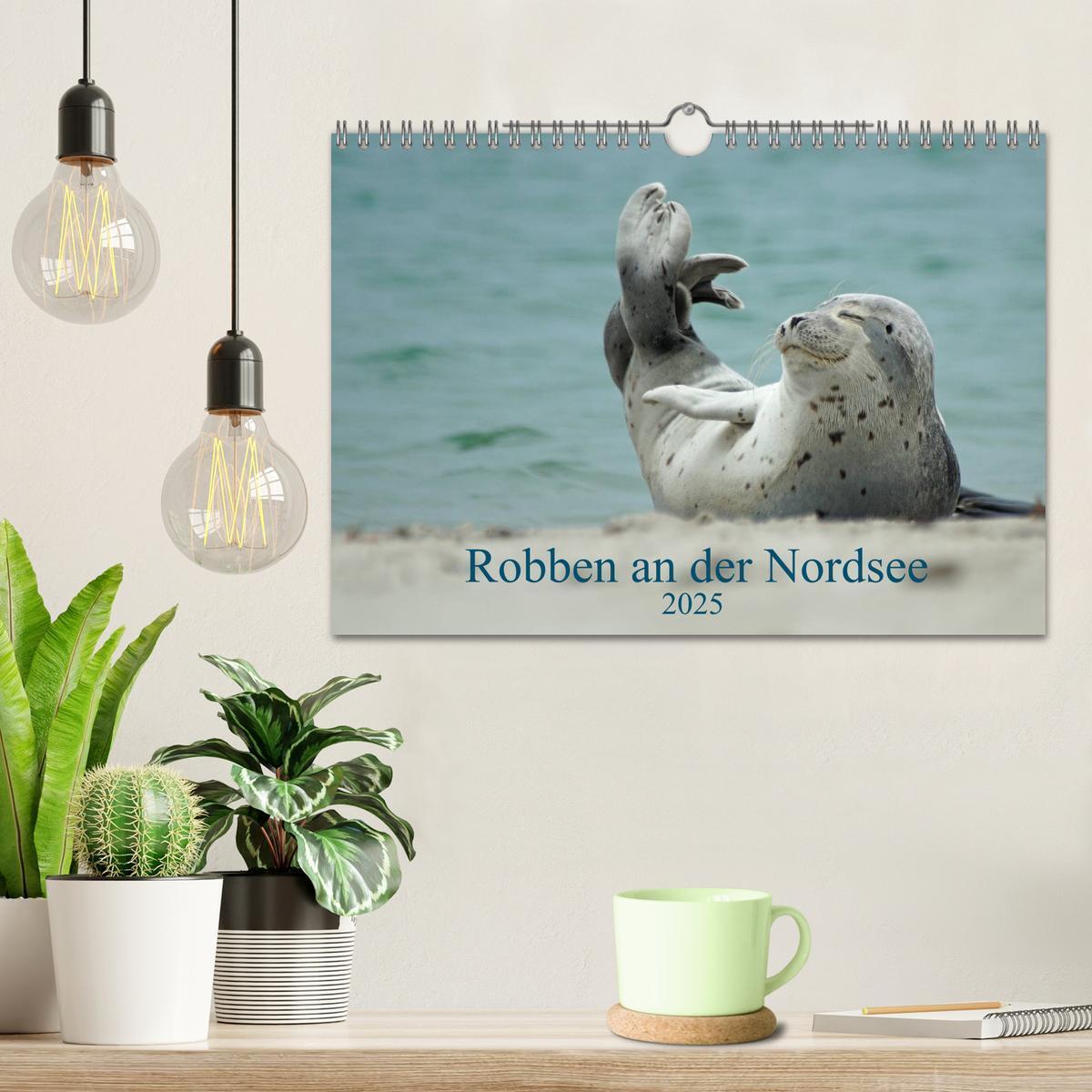 Bild: 9783435482191 | Robben an der Nordsee (Wandkalender 2025 DIN A4 quer), CALVENDO...